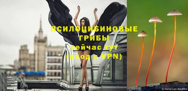МДПВ Алексеевка