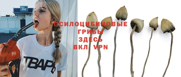 МДПВ Алексеевка