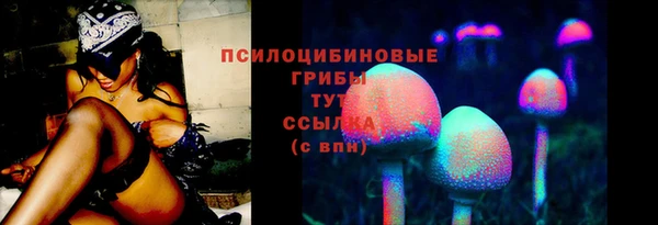 ПСИЛОЦИБИНОВЫЕ ГРИБЫ Алзамай