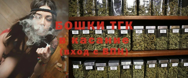 ПСИЛОЦИБИНОВЫЕ ГРИБЫ Алзамай