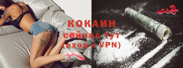 прущие грибы Абаза
